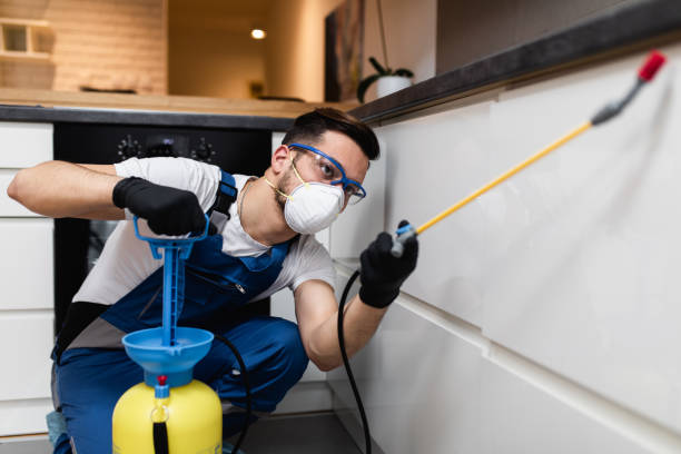 Best Pest Removal Services  in Ina, IL