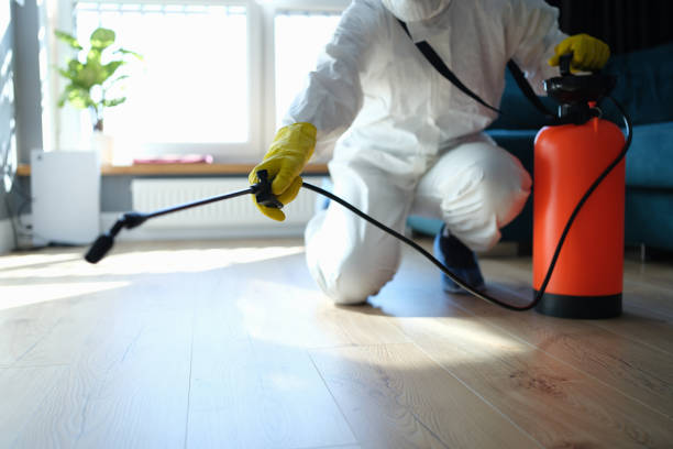 Best Cockroach Control Services  in Ina, IL