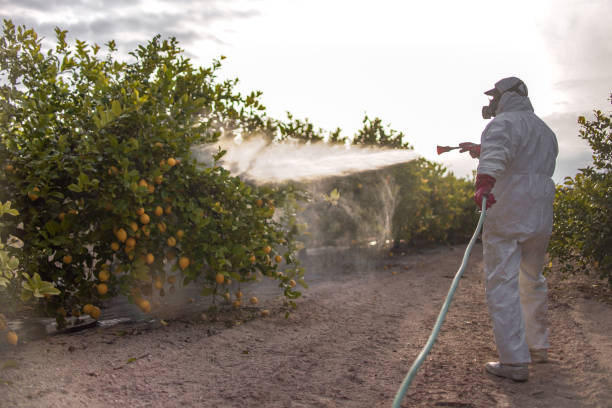 Professional Pest Control in Ina, IL