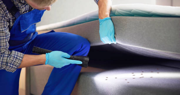 Pest Control Cost in Ina, IL