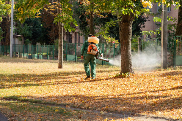 Best Affordable Pest Control Services  in Ina, IL